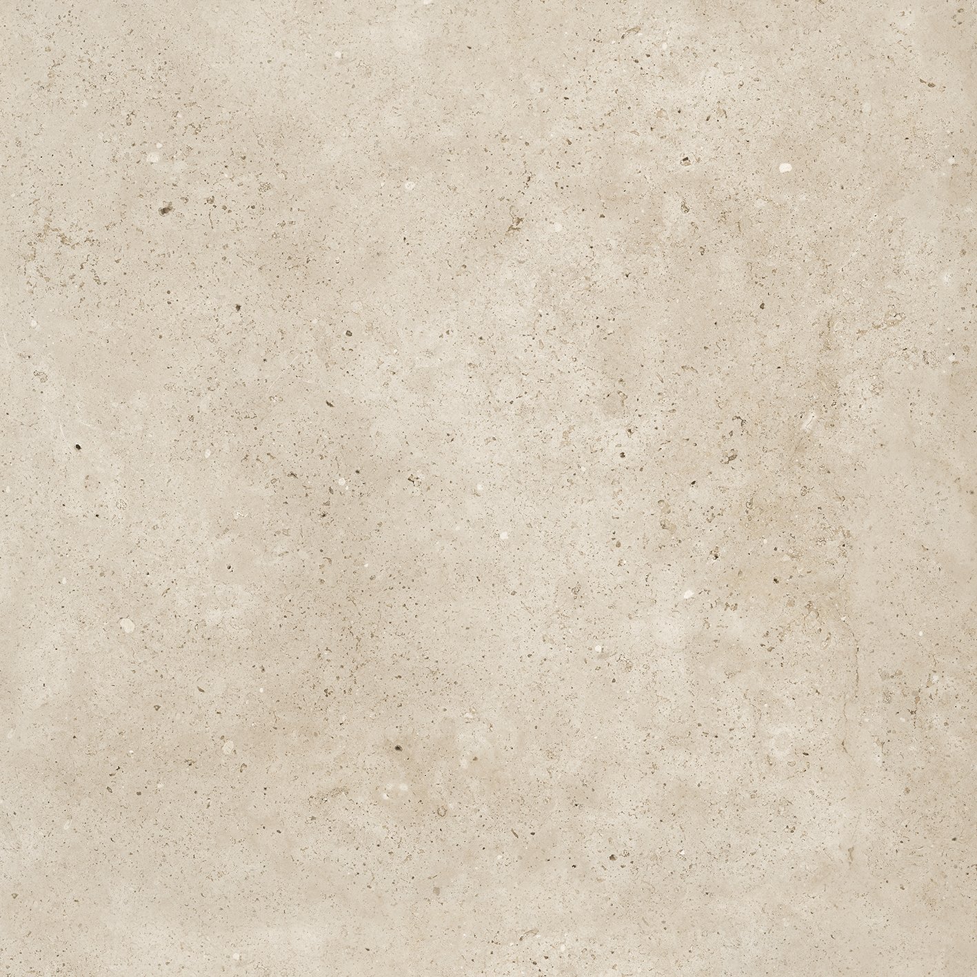 Campaspero (Limited Stock) - Image 6