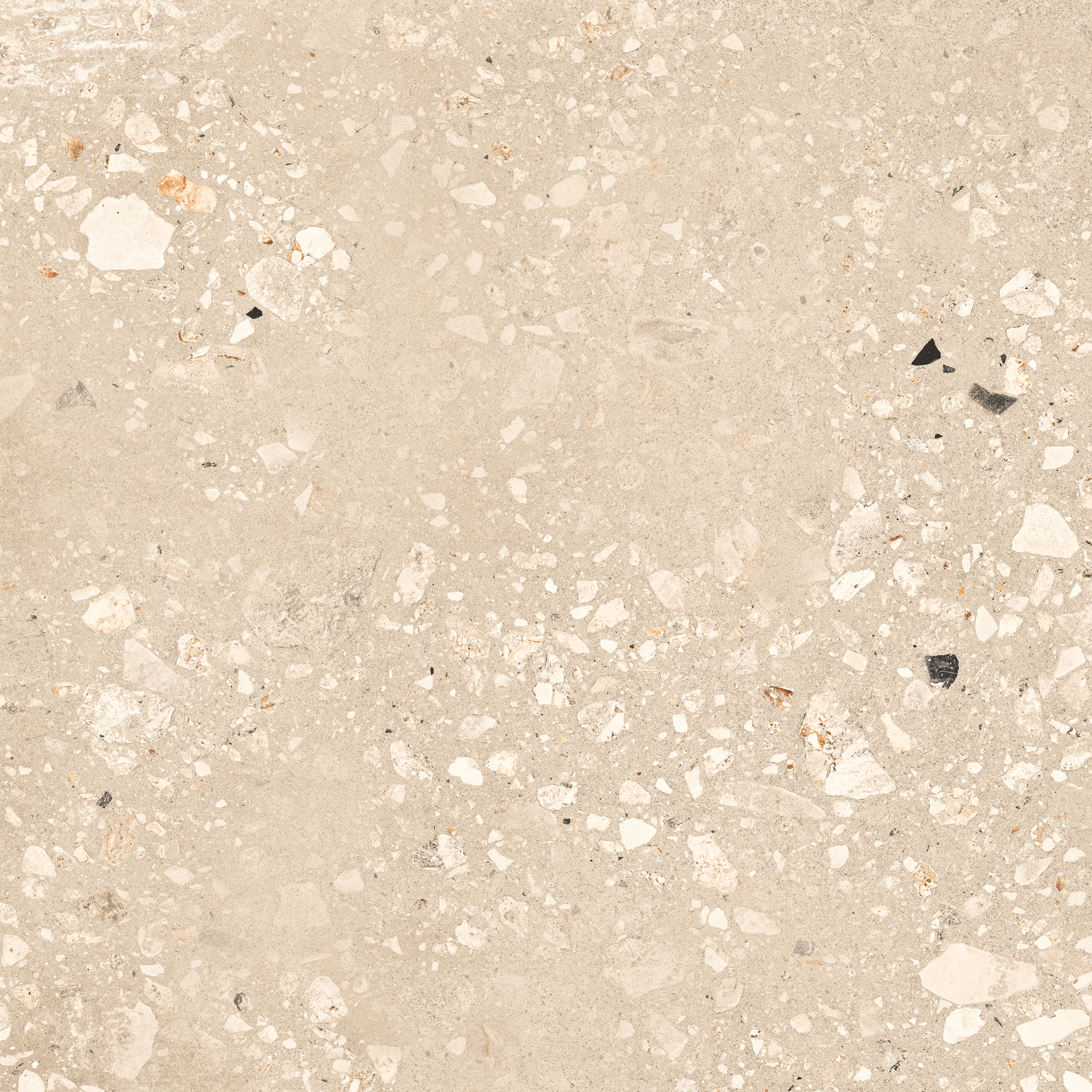 Logico Cosmo - Image 20