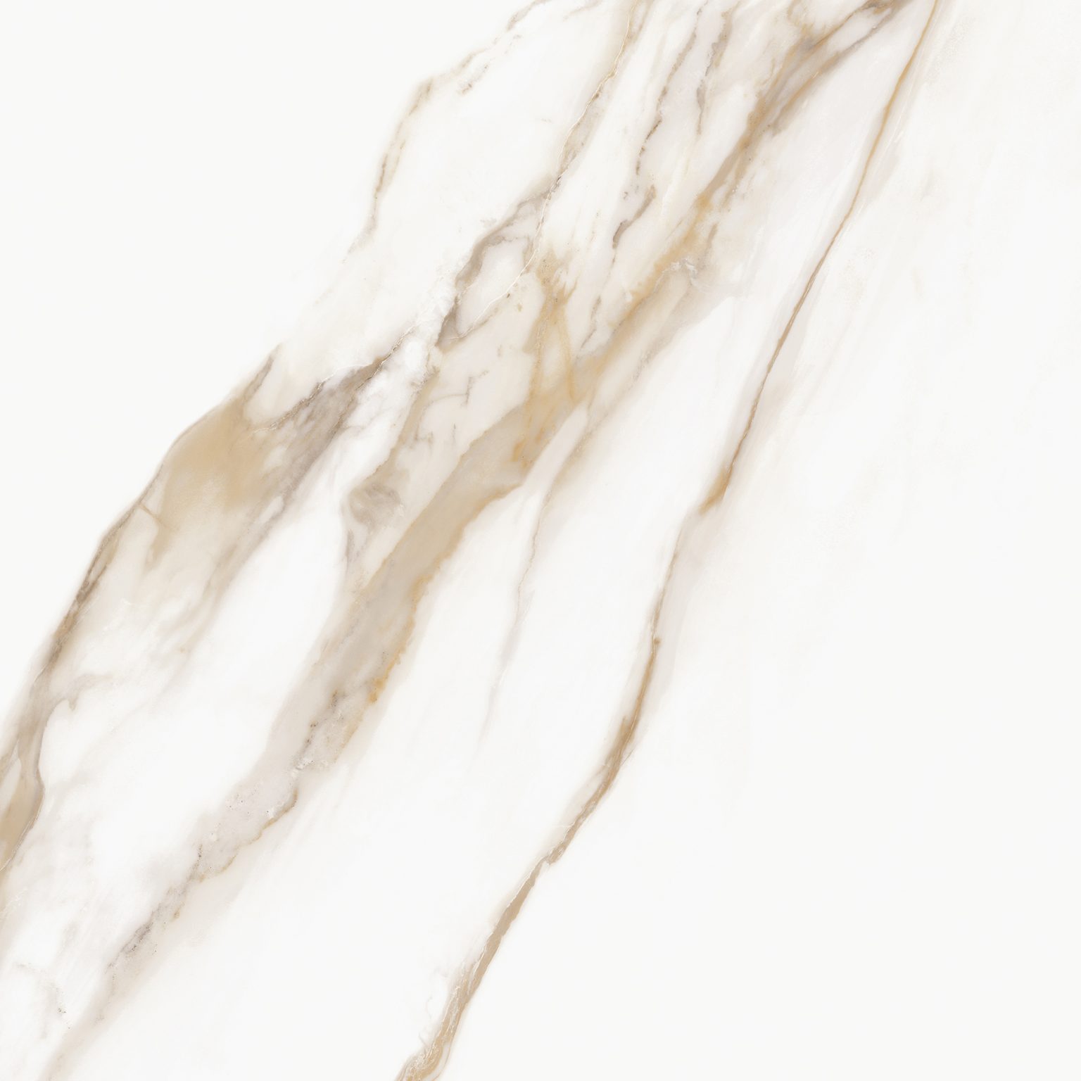 Prestigio Calacatta Oro Porcelain Tile | M2 Tile & Stone